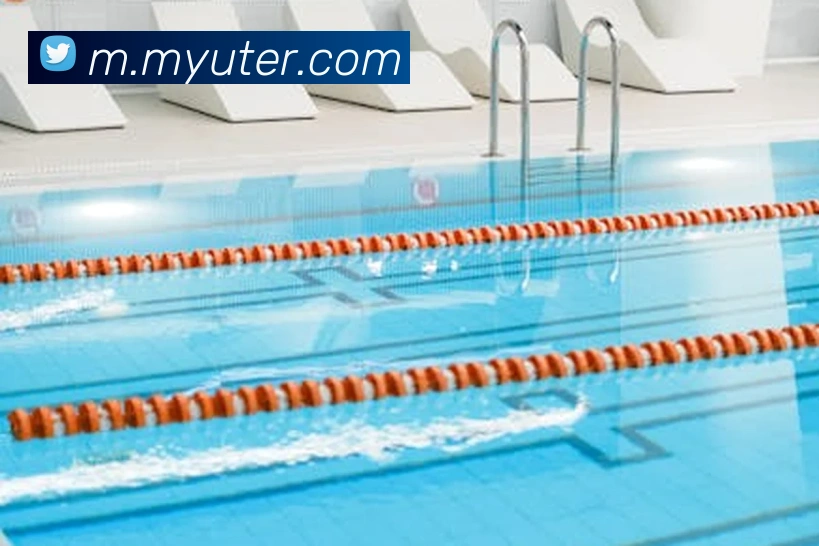 互动解说服务